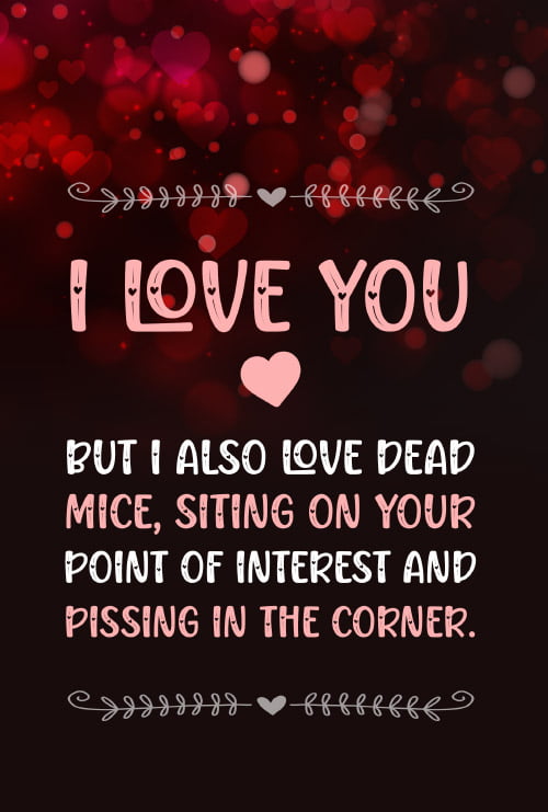 I Love You But I Also Love Dead Mice, Siting On Your Point Of Interest And Pissing In The Corner: 97 Questions For Loving Couples Journal (Fun Valentine Day Journals)